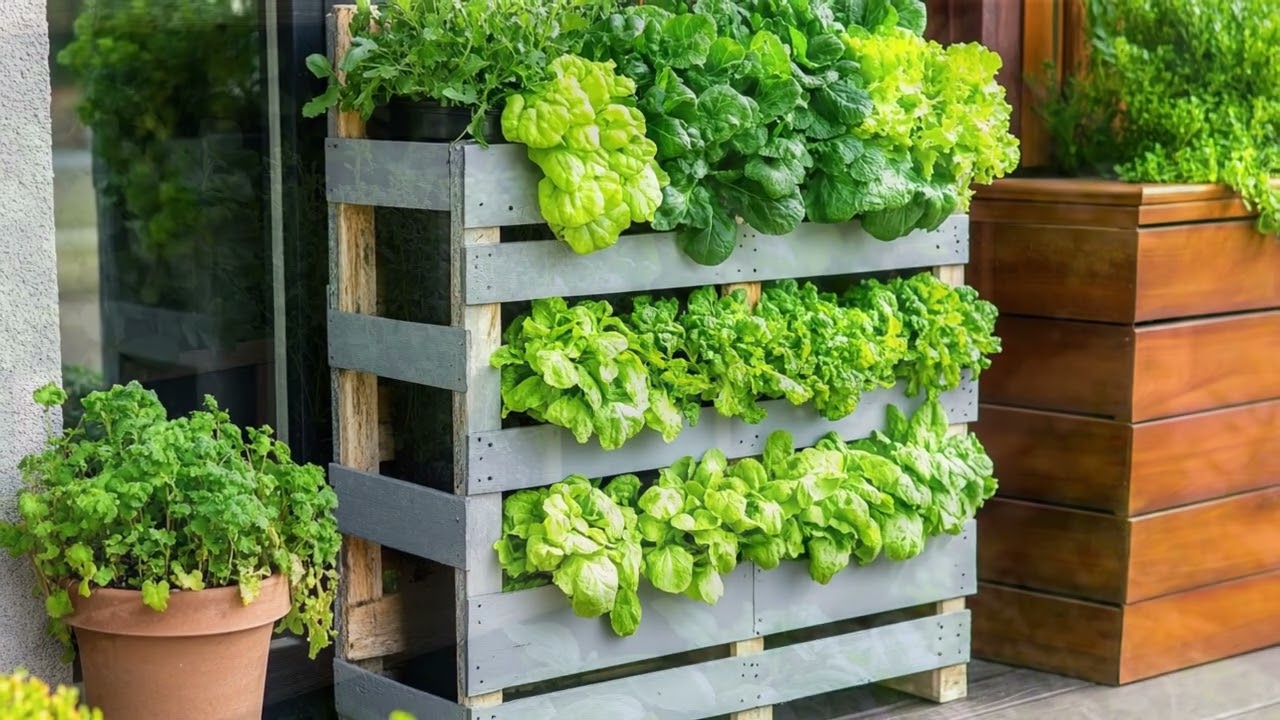 🌻 The Sustainable Sanctuary: Creating a Dream Yard with Recycled Materials
