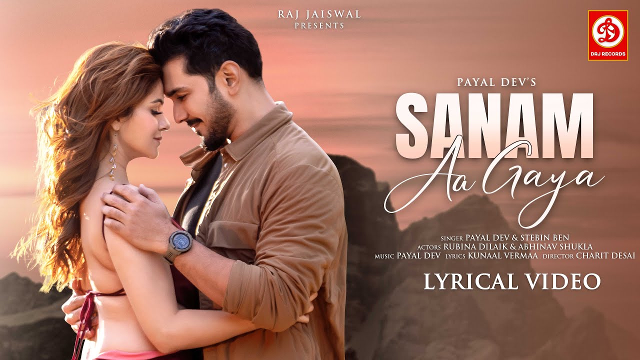 Sanam Aa Gaya - LYRICAL VIDEO | Payal Dev | Stebin Ben | Kunaal Vermaa | Rubina Dilaik, Abhinav