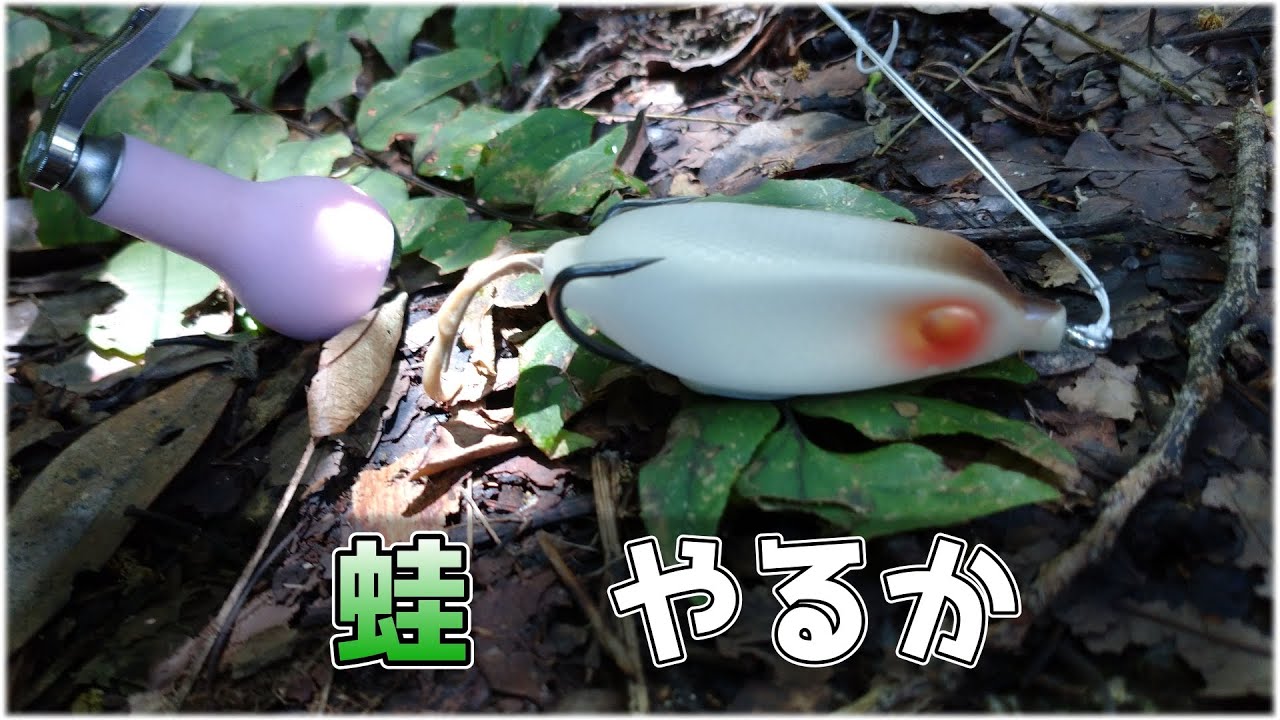 【フロッグ】オープンウォーターでフロッグ使う意味そんなあるんかね？【キムケンスタイル】