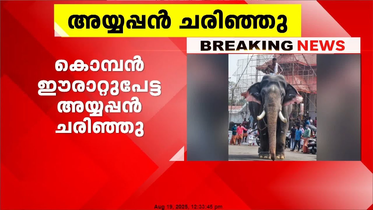 കൊമ്പൻ ഈരാറ്റുപേട്ട അയ്യപ്പൻ ചരിഞ്ഞു | Erattupetta Ayyappan