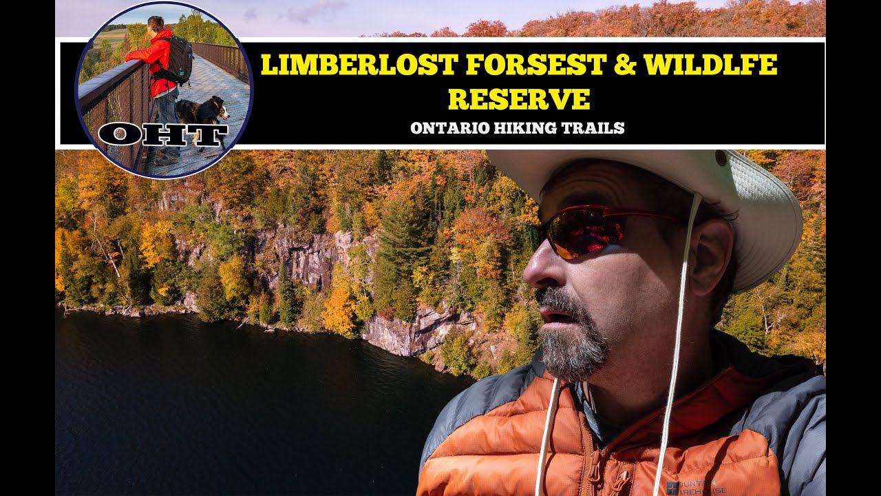 LIMBERLOST FOREST & WILDLIFE PRESERVE Ontario Autumn Fall Color Drone Flight
