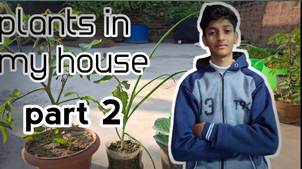 Mere new plants ka part two #viral video 