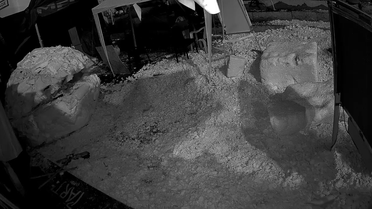 Livestream - Robert Walser-Sculpture