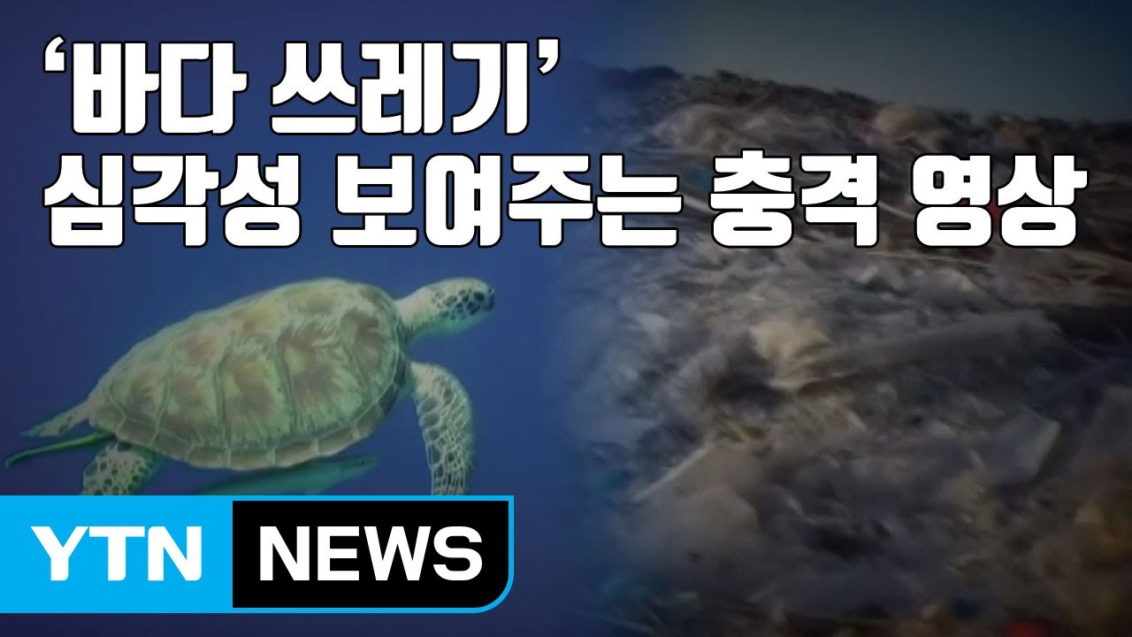 [자막뉴스] '바다 쓰레기' 심각성 보여주는 충격 영상 / YTN