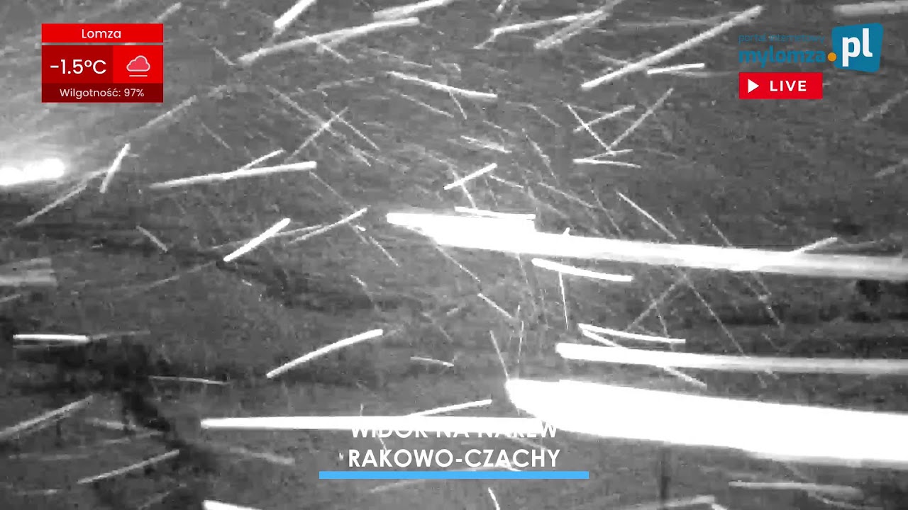 [LIVE] Piękno doliny Narwi. Łomża i okolice na żywo w naszej kamerze