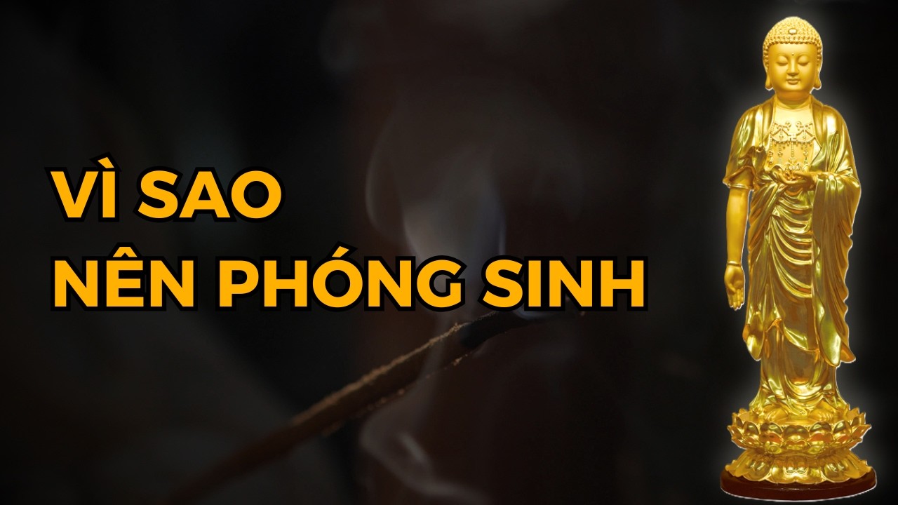 Hướng dẫn cách Phóng Sinh tại nhà đúng pháp - Nghi thức phóng sinh nhiệm màu nhất!