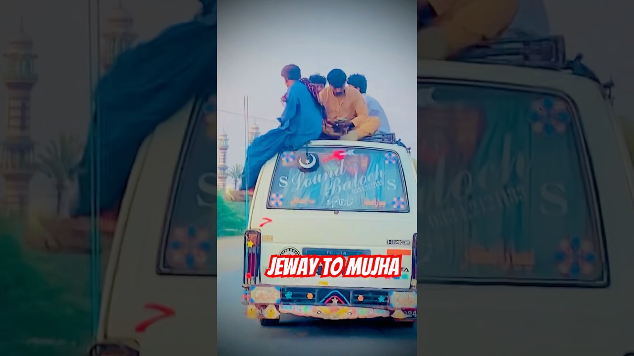 Public Transport in Pakistan: Expect the Unexpected! #pakistantransport #desivibes #travelshorts