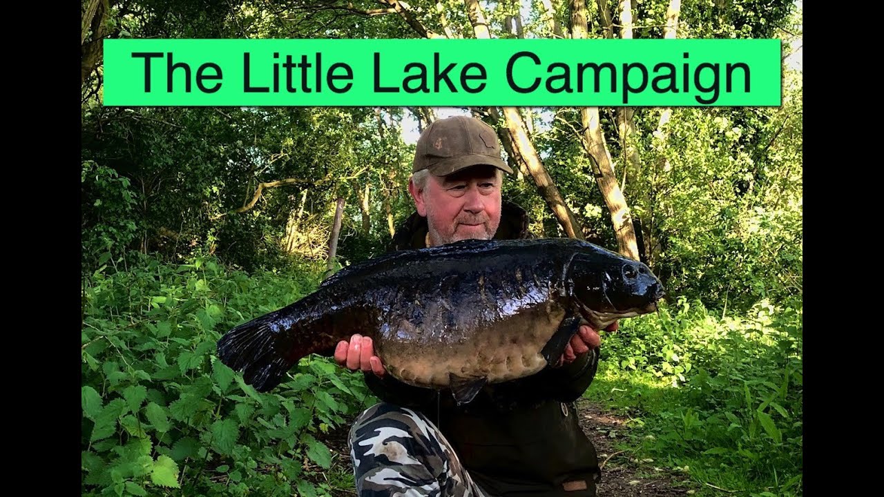 The little lake campaign
