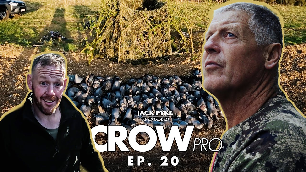 Стрельба по голубям из укрытия в центре поля | CROWpro EP 20 | В укрытии | Fieldsports