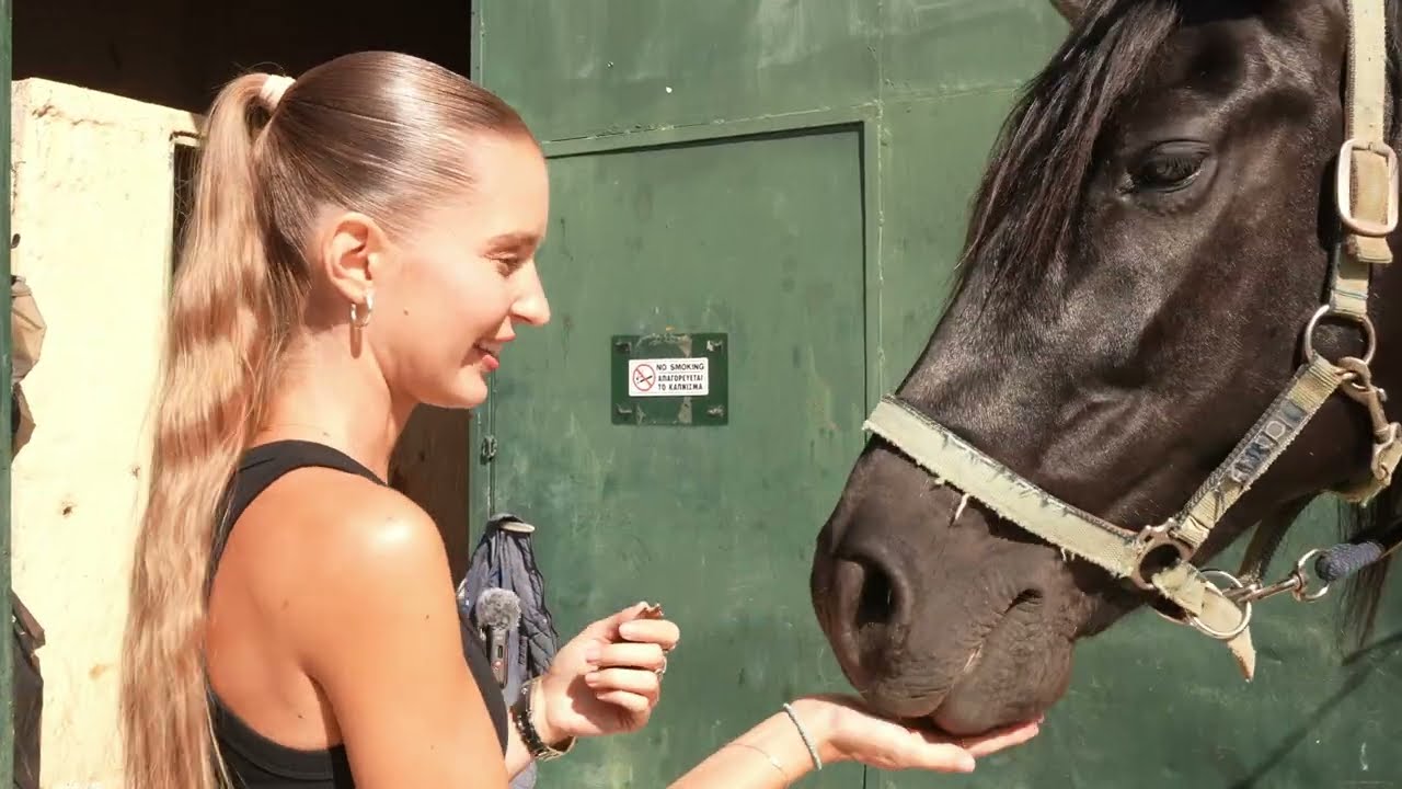 When horsepower meats real horses! NEW FlexRides episode with Mustang Mach E