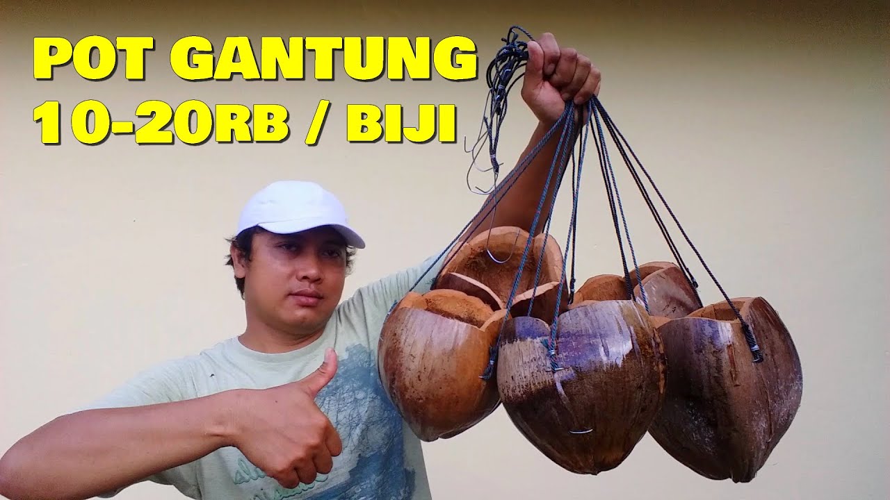 Cara Membuat Pot Sabut Kelapa Gantung
