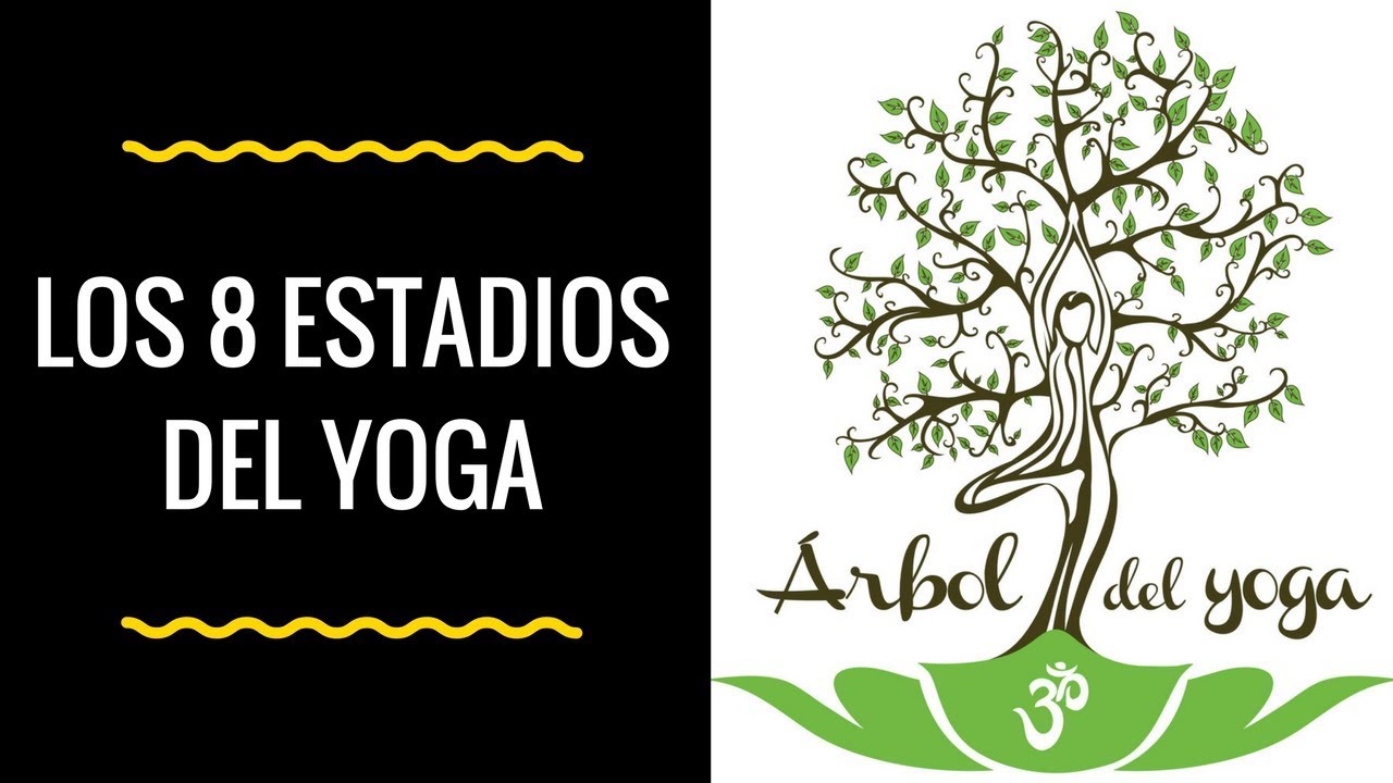 Qué son y cuáles son Los 8 Estadios del Yoga?