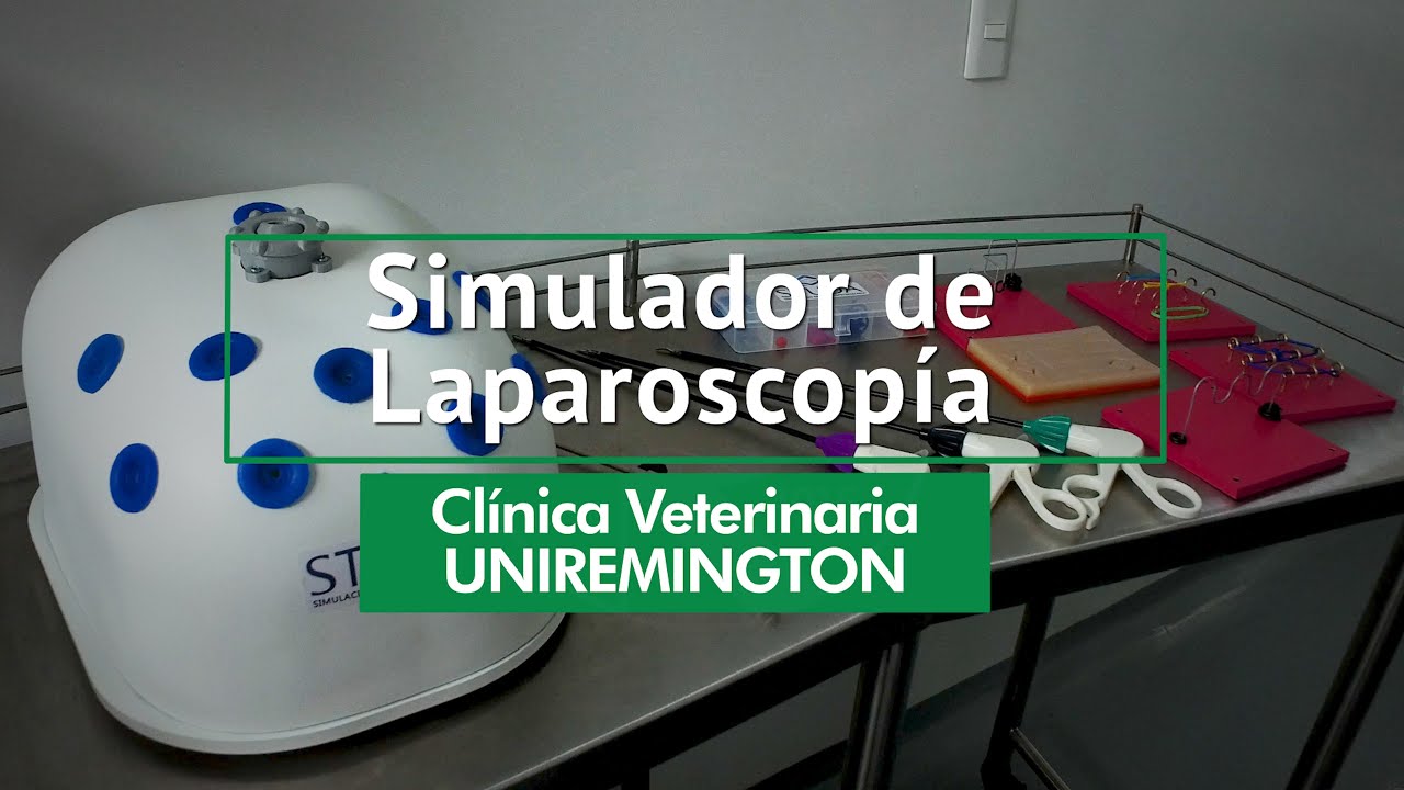 Simulador Laparoscopía