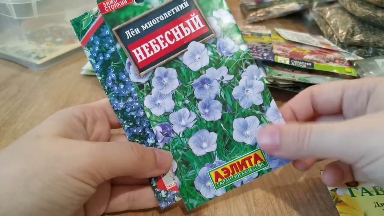 Запас семян цветов из 2023 в 2024.