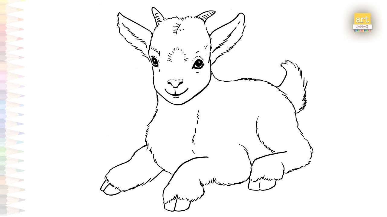 Young goat drawings easy | Animal sketches | How to draw A Goat step by step | #artjanag