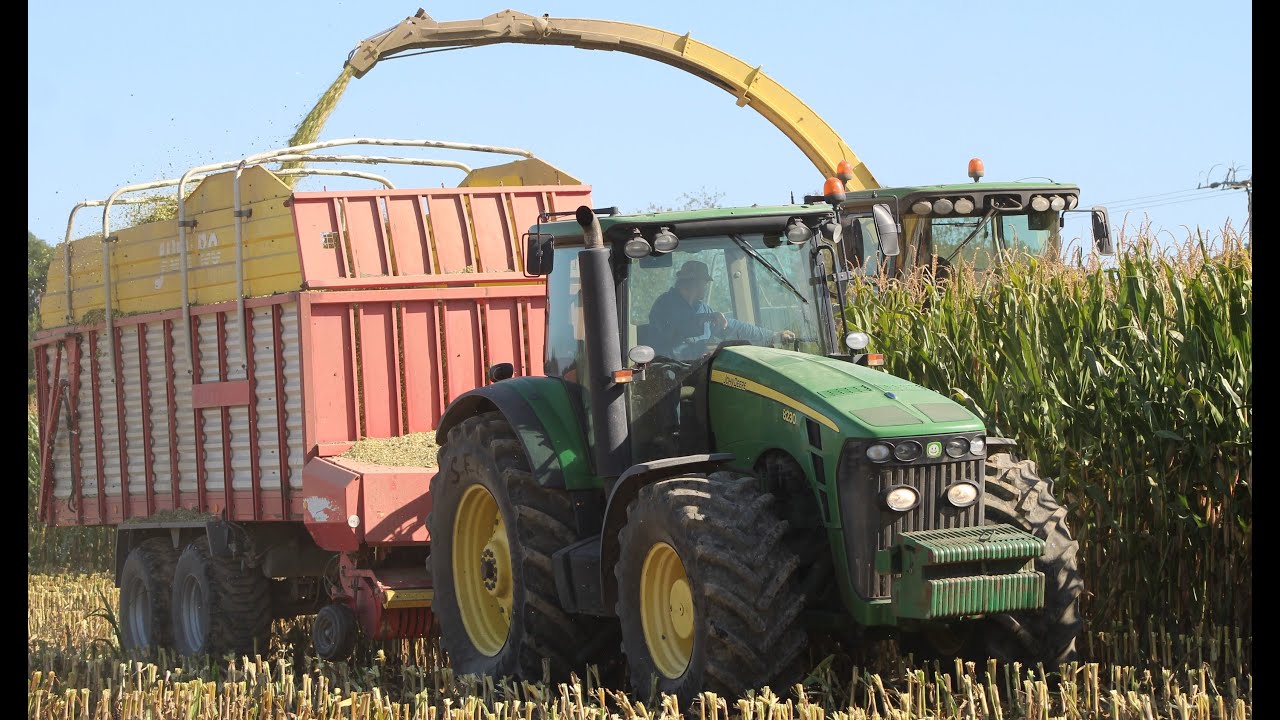Siláže, práce na jámě 2019 - ZOD Onomyšl / John deere 7380, 3x John deere, Zetor, Fendt