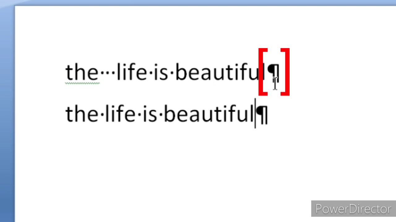 SHOW/HIDE TOOL IN MS WORD IN DETAIL EXPLAIN IN HINDI