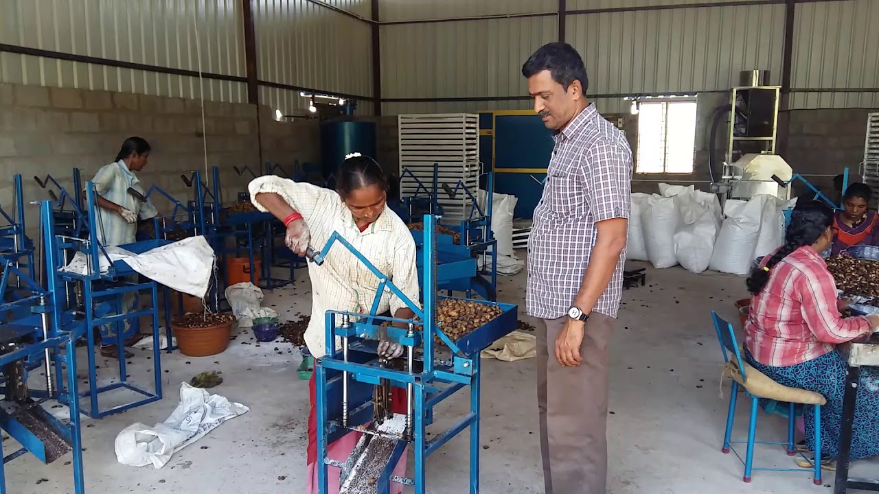 Cashew Manuel Shelling Machine