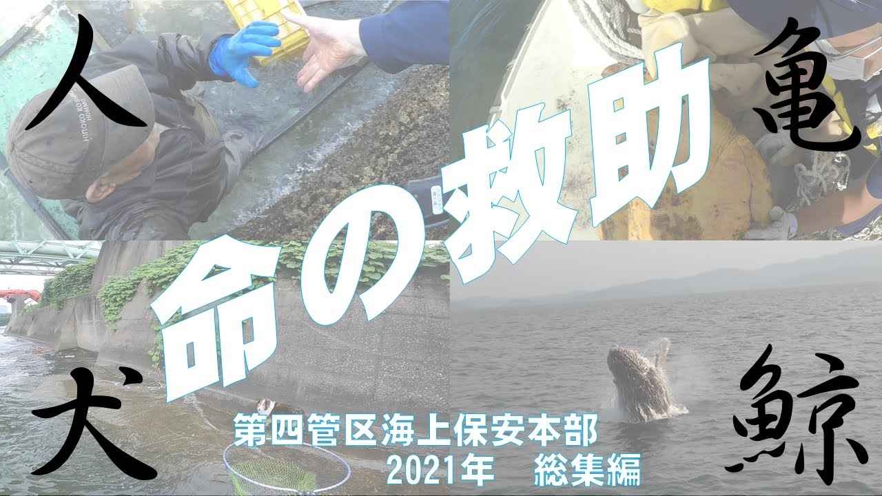 「人と亀と犬と鯨」2021救助映像 総まとめ！【海上保安庁 第四管区】
