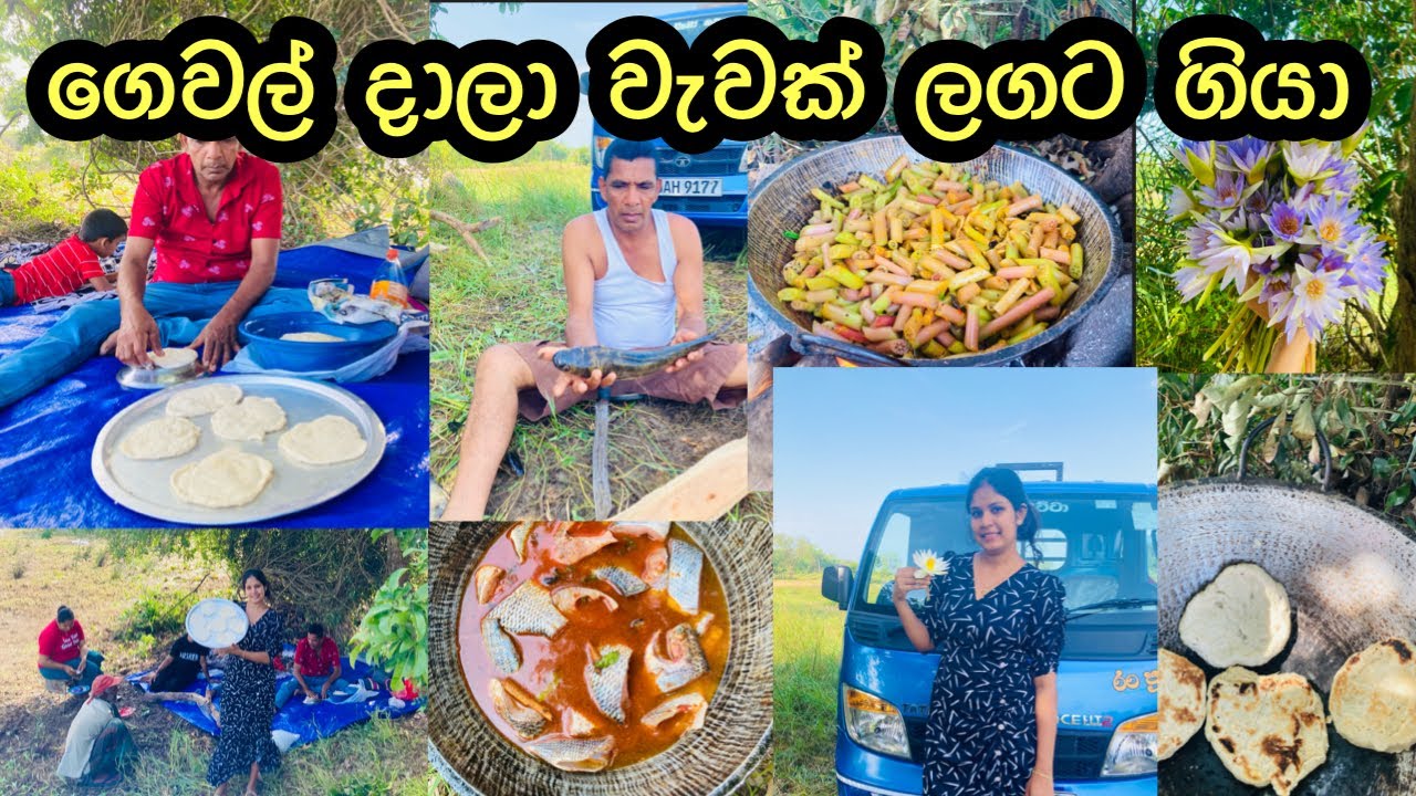 වළං මුට්ටි ටිකත් අරන් වැවක වාඩි ජීවිතයකට ගියා  || Lakeside cooking || Day Vlog || My Diary