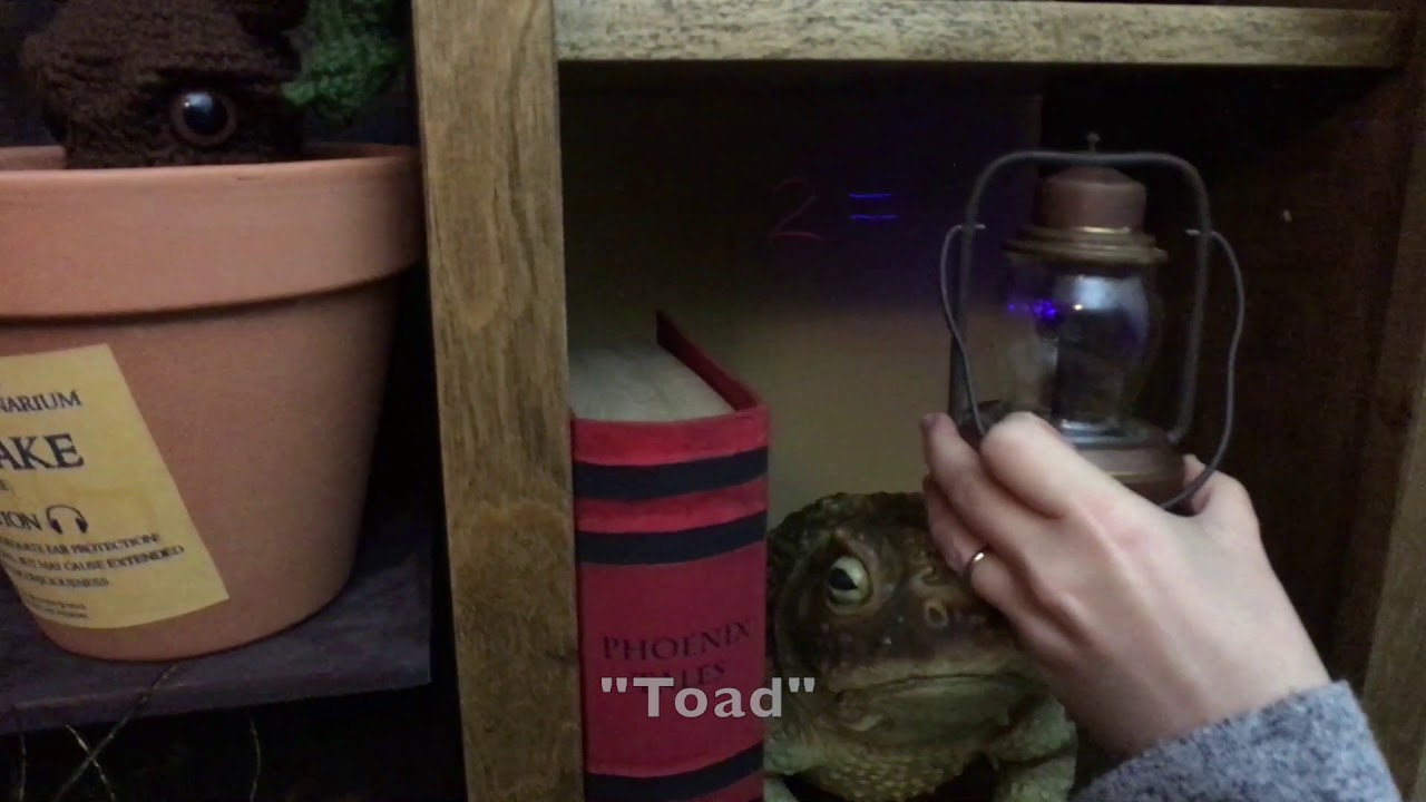 DIY Harry Potter Escape Room