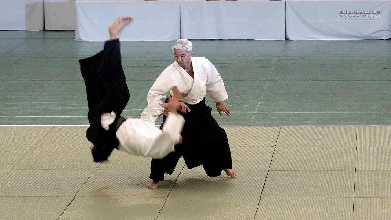 UESHIBA Moriteru Doshu - 57th All Japan Aikido Demonstration 2019