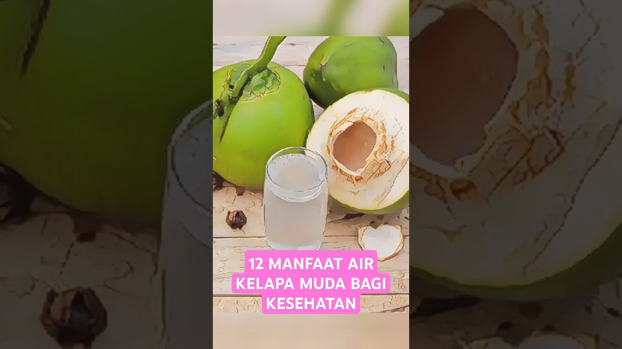 12 Manfaat AIR KELAPA MUDA bagi kesehatan #manfaat #khasiat  #kelapamuda #kelapa #kelapaoriginal
