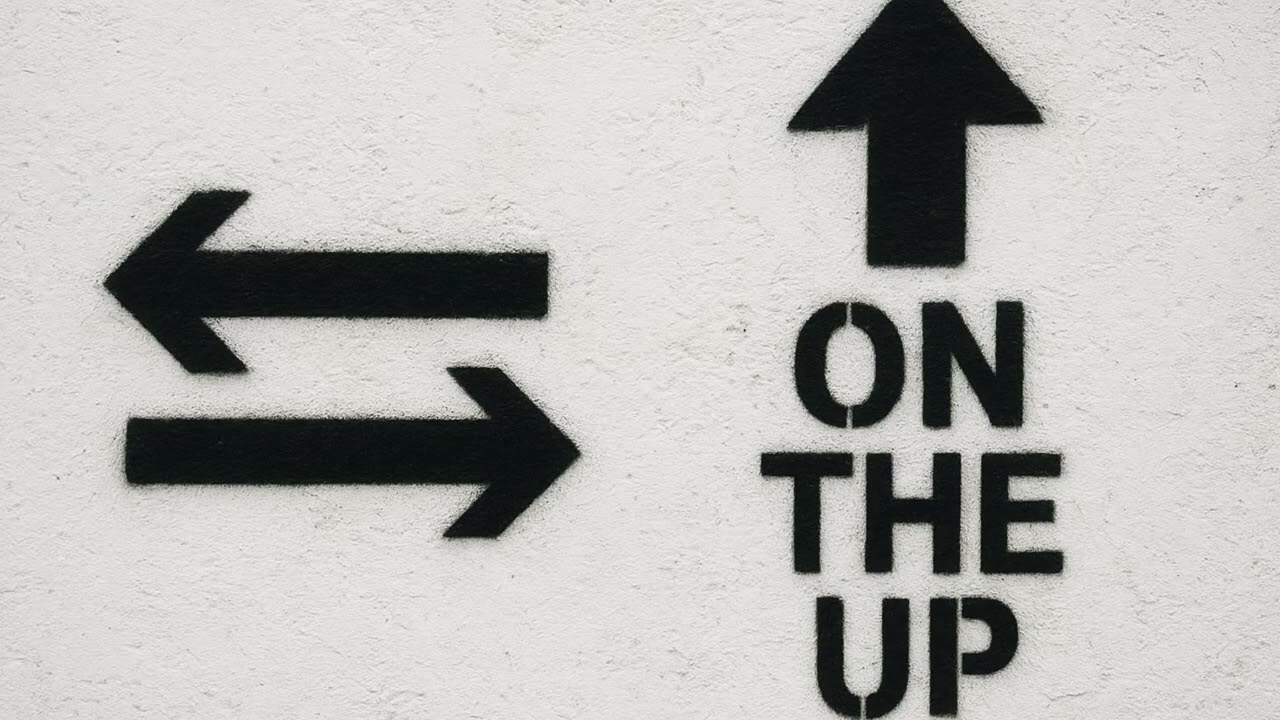 NEW SHOOTS ‘ On the up’