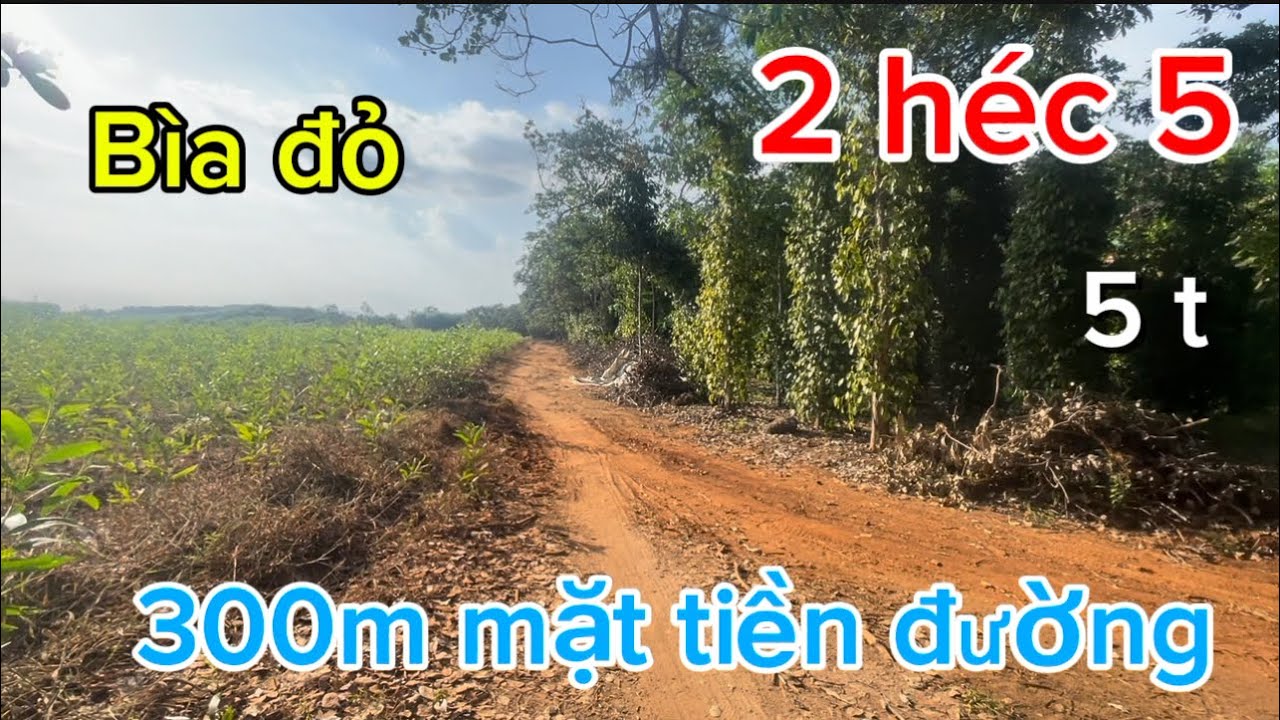 2 héc 5 có 300m mặt tiền đường sổ Hồng riêng đất pha đỏ màu mở 