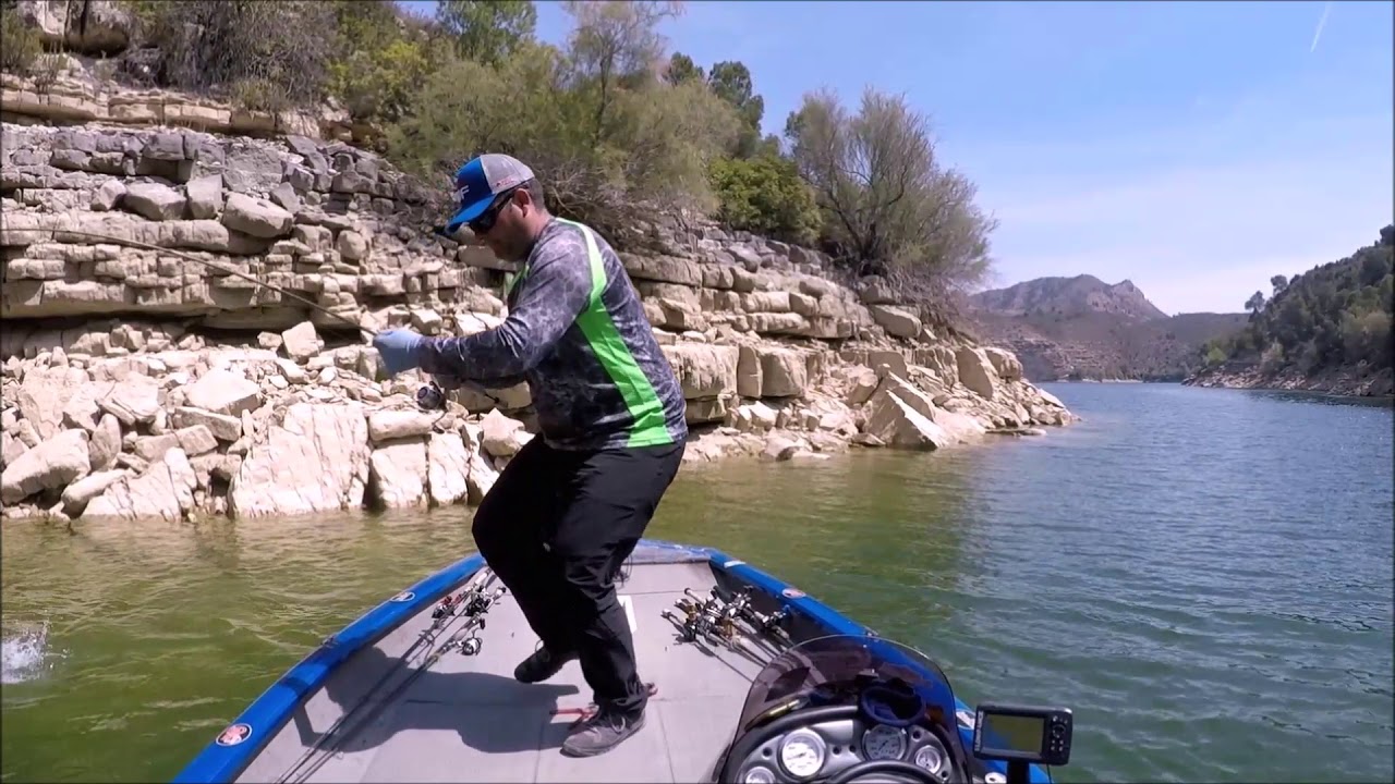 JUMPING BLACK BASS