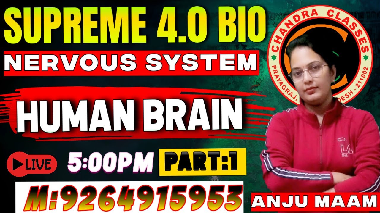 NERVOUS SYSTEM || HUMAN BRAIN ||BIOLOGY ||PART :1|| ANJU MAM#9264915953