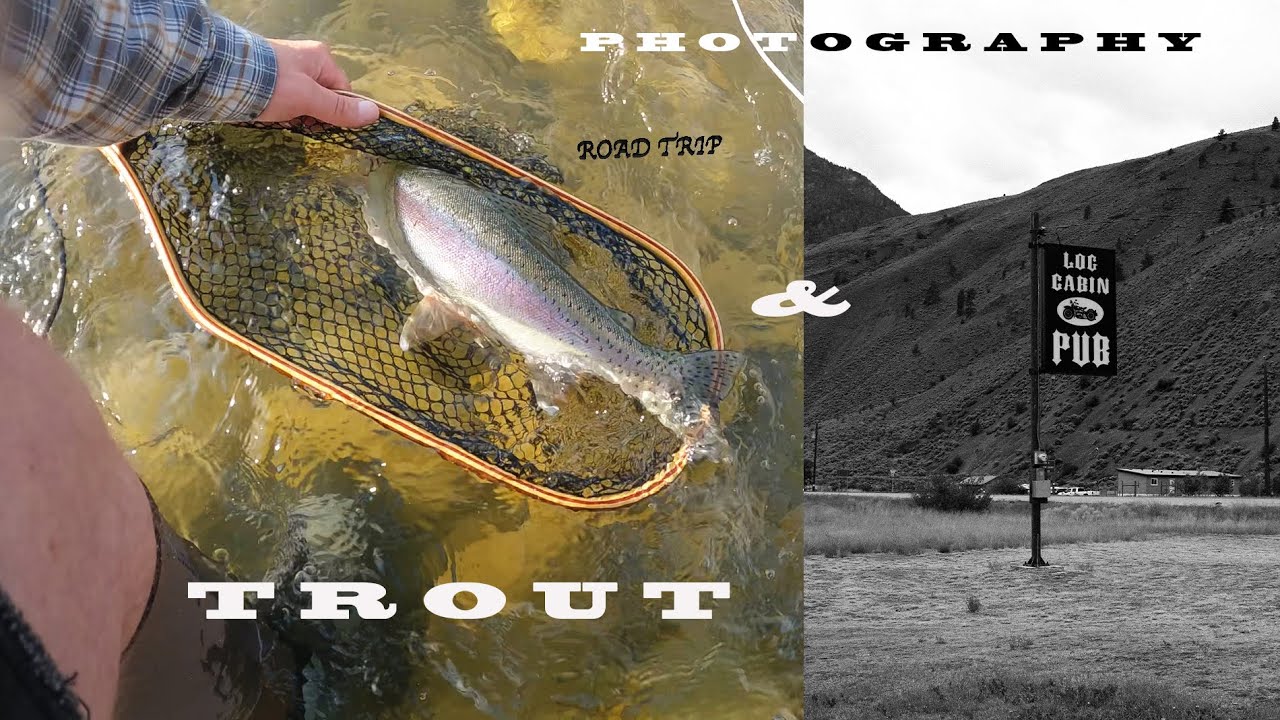 Thompson River Trout & Photography Road Trip