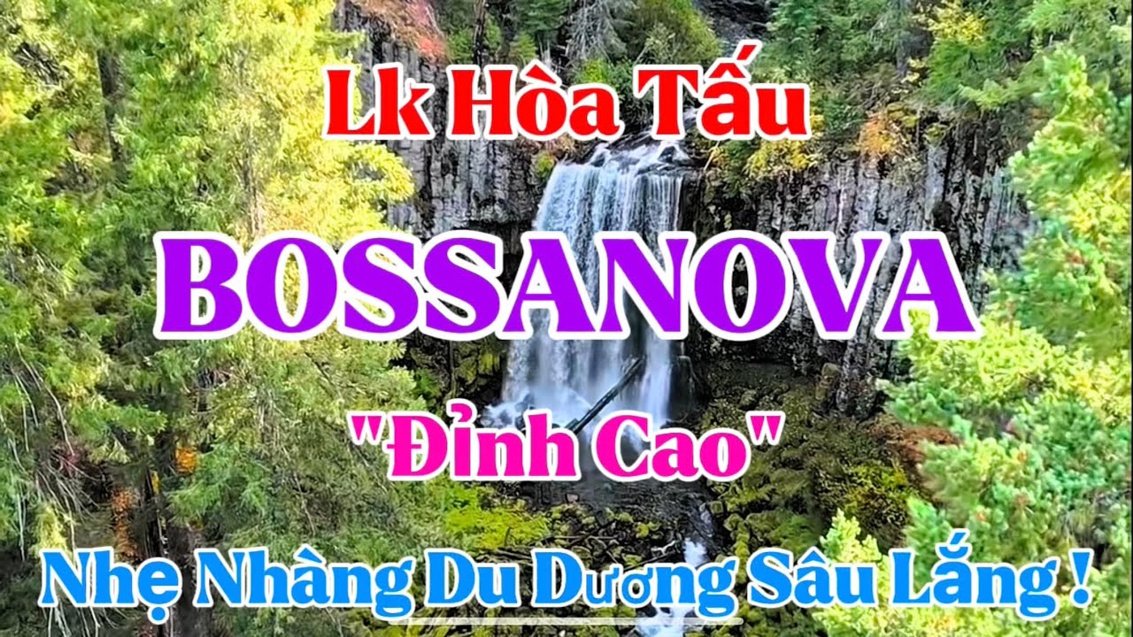 NHẠC BOSSANOVA KHÔNG LỜI HAY NHẤT | NHẠC THƯ GIÃN CAFE NHẸ NHÀNG SÂU LẮNG | Organ Channel