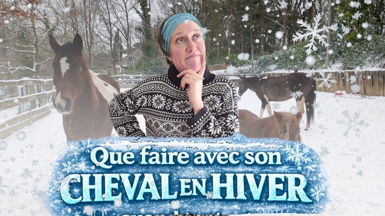 Équitation l'hiver : ce que tu dois absolument faire (et ne pas faire)