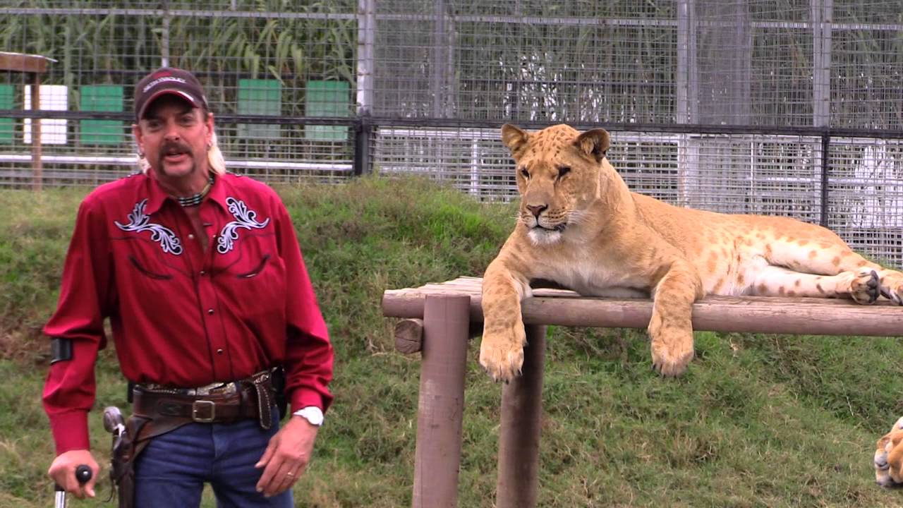 Joe Exotic's Video Message To Trump - Day 30