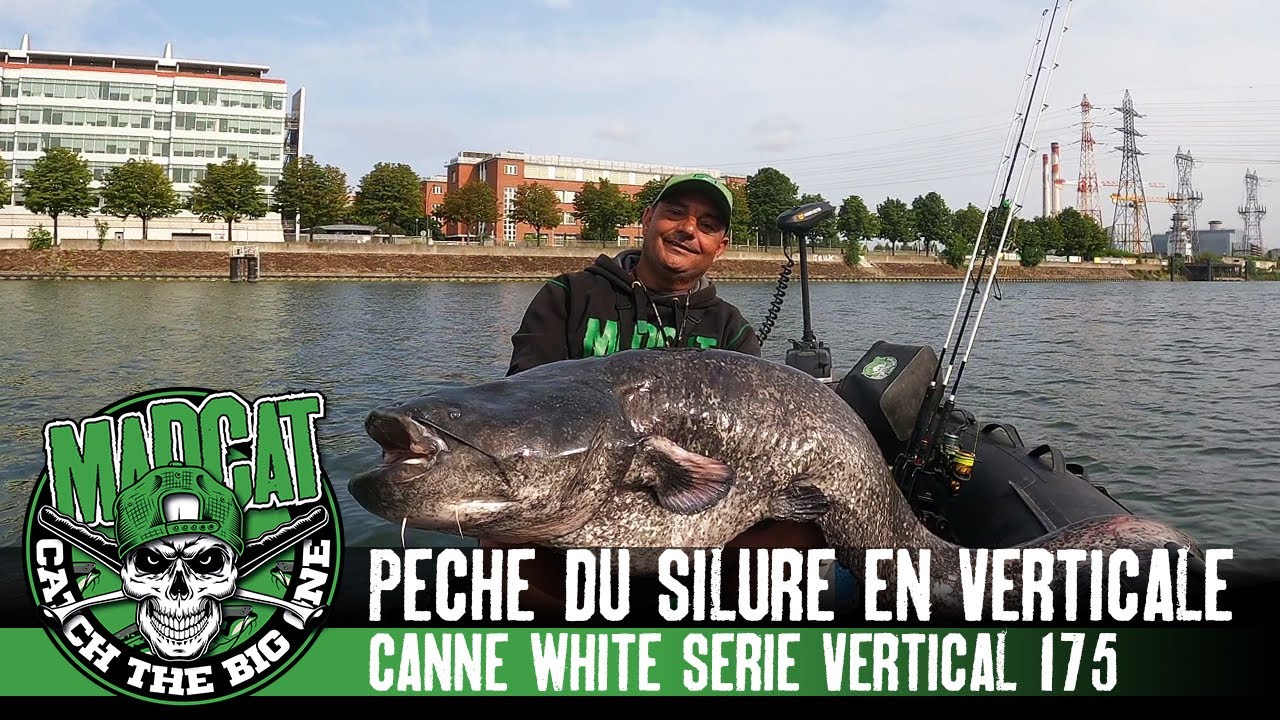 Pêche du SILURE en bateau en compagnie de Franck Sosa avec la canne MADCAT White Série Vertical 175