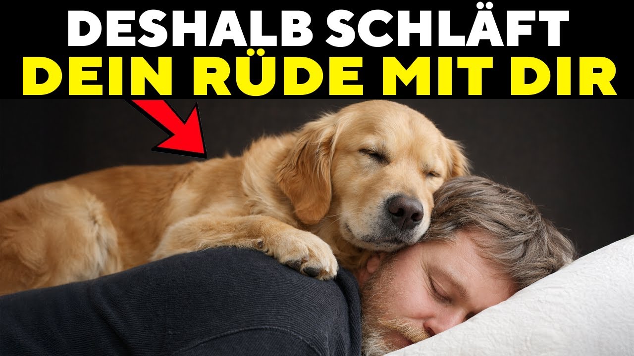Warum Dein RÜDE Mit Dir Schläft — Das Bedeutet MEHR, Als Du Denkst!