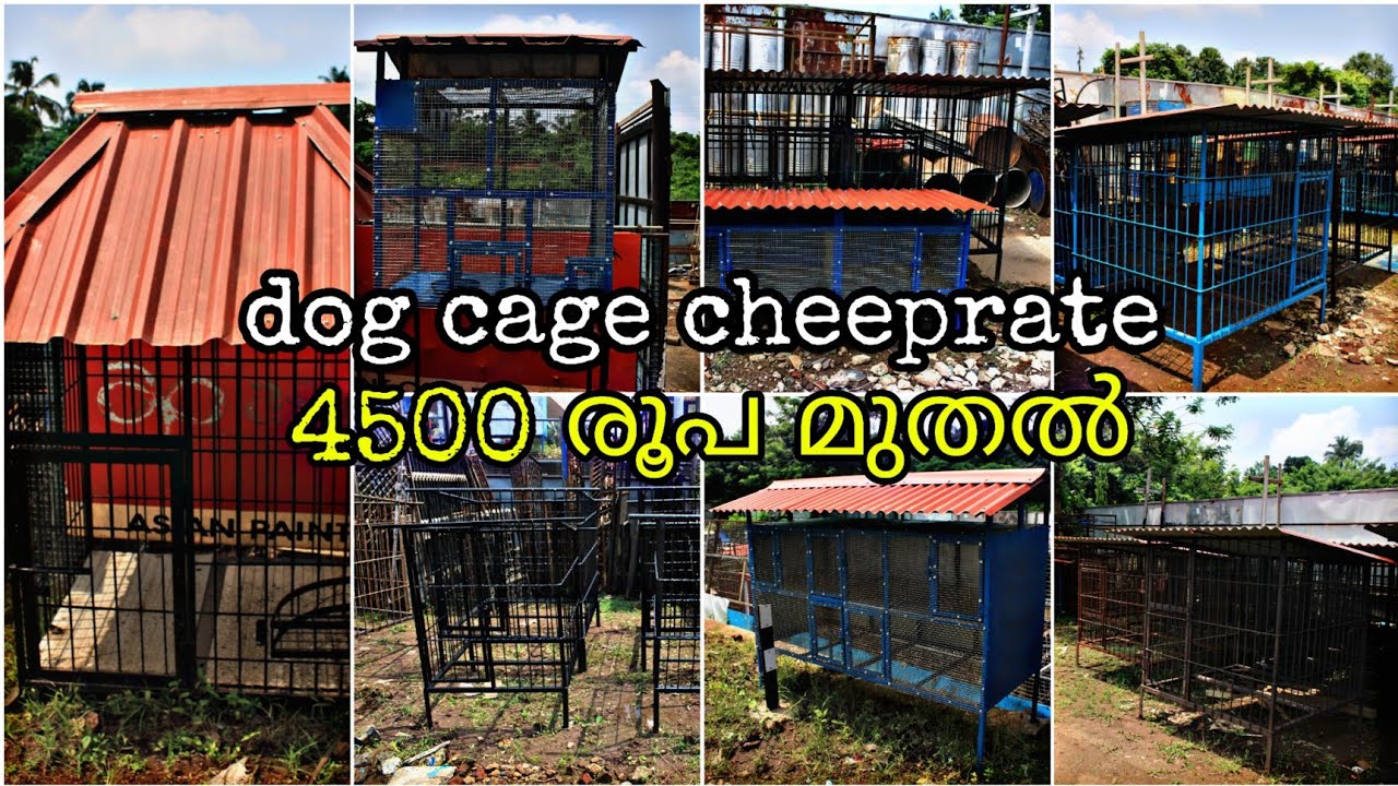 Dog cage, birds cage, rabbit cage cheep rate  കൂടുകൾ എല്ലാം മാന്യമായ വിലക്കു കിട്ടും