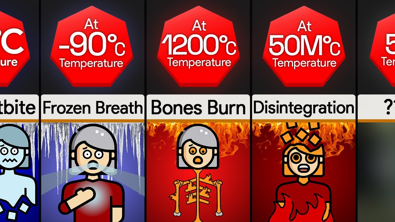 Comparison: You At Different Temperatures
