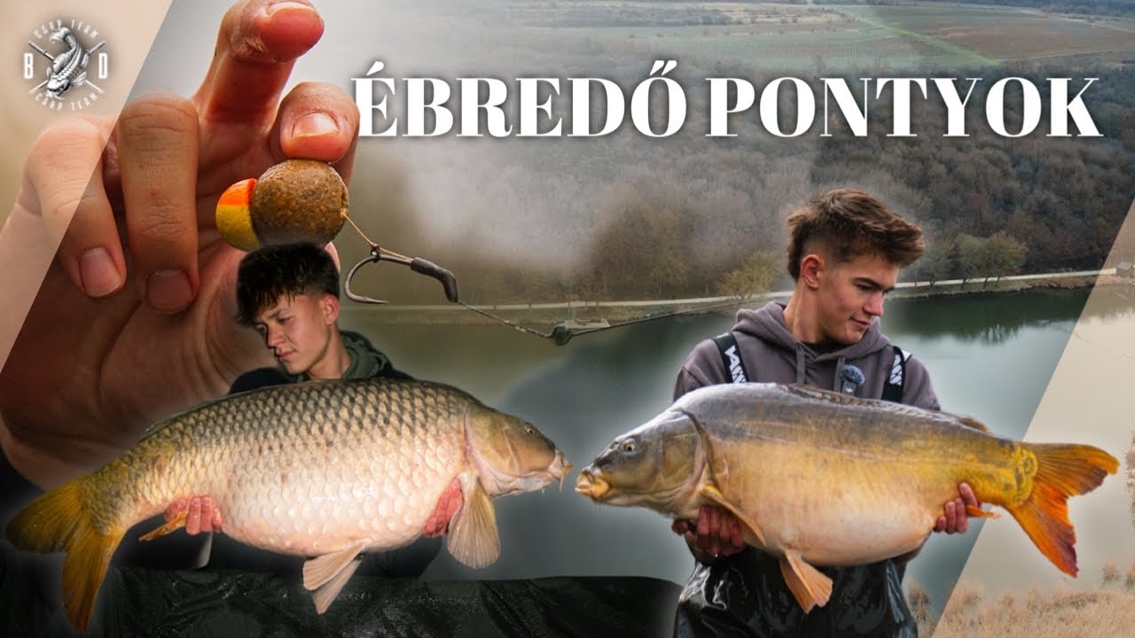 Ébredő PONTYOK | FERGETEGES évkezdés