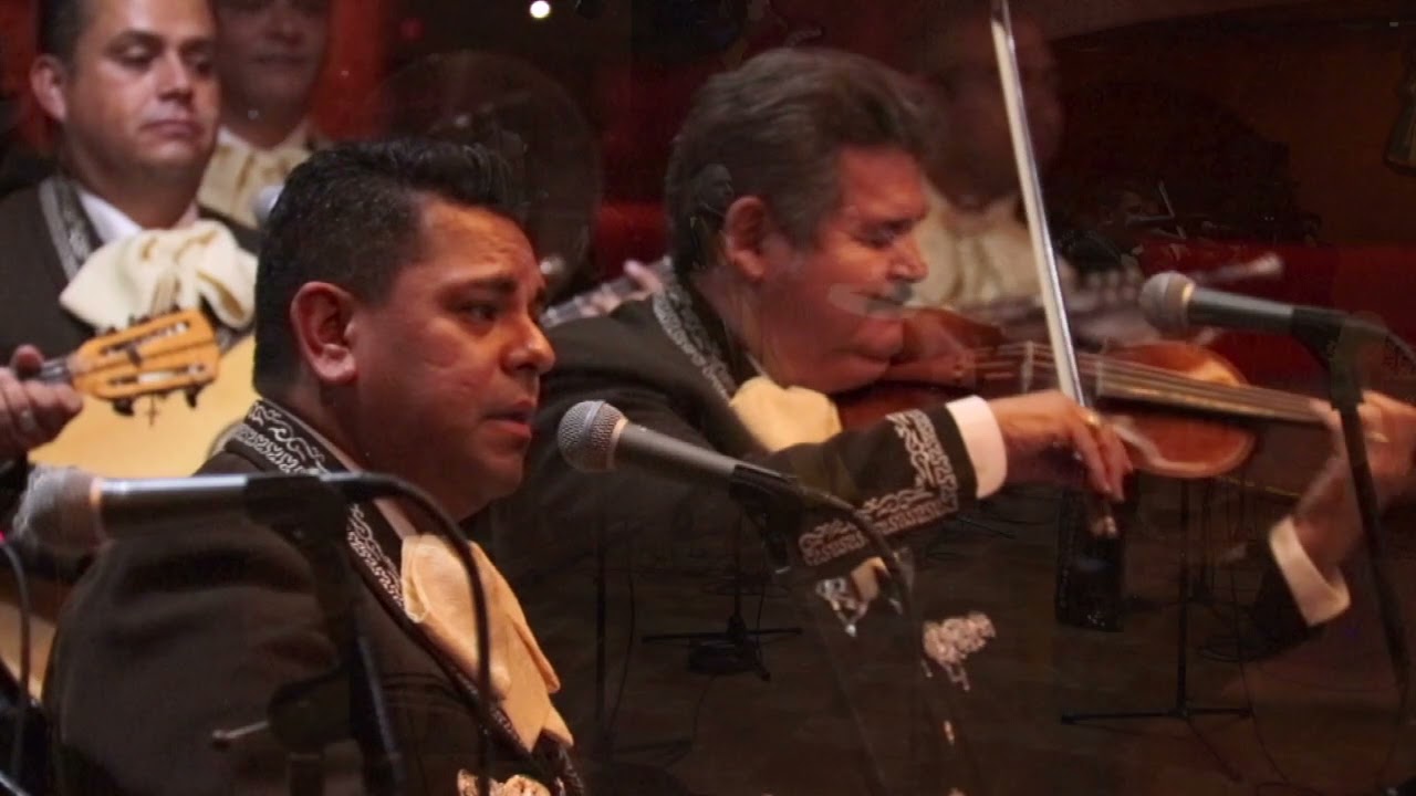 Estrellita - Mariachi Los Camperos