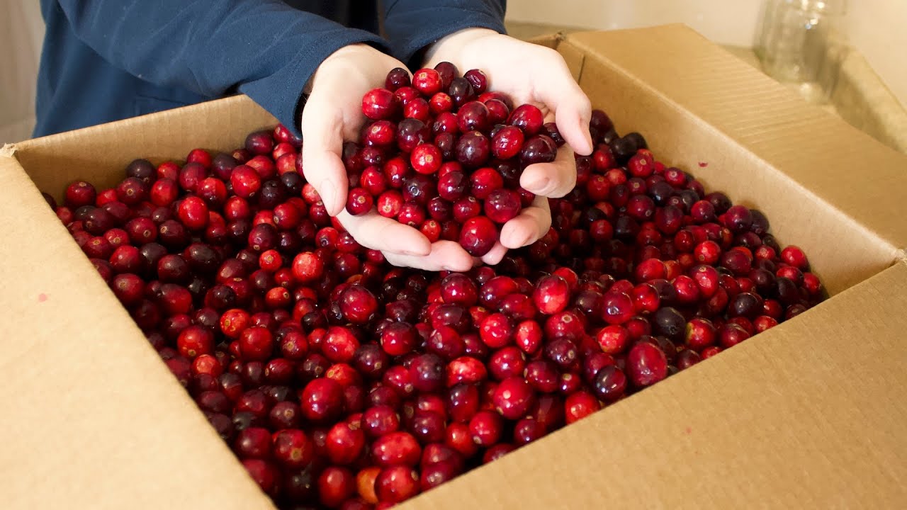 6 Cranberry Recipes | cranberry juice, cranberry sauce, cranberry mustard