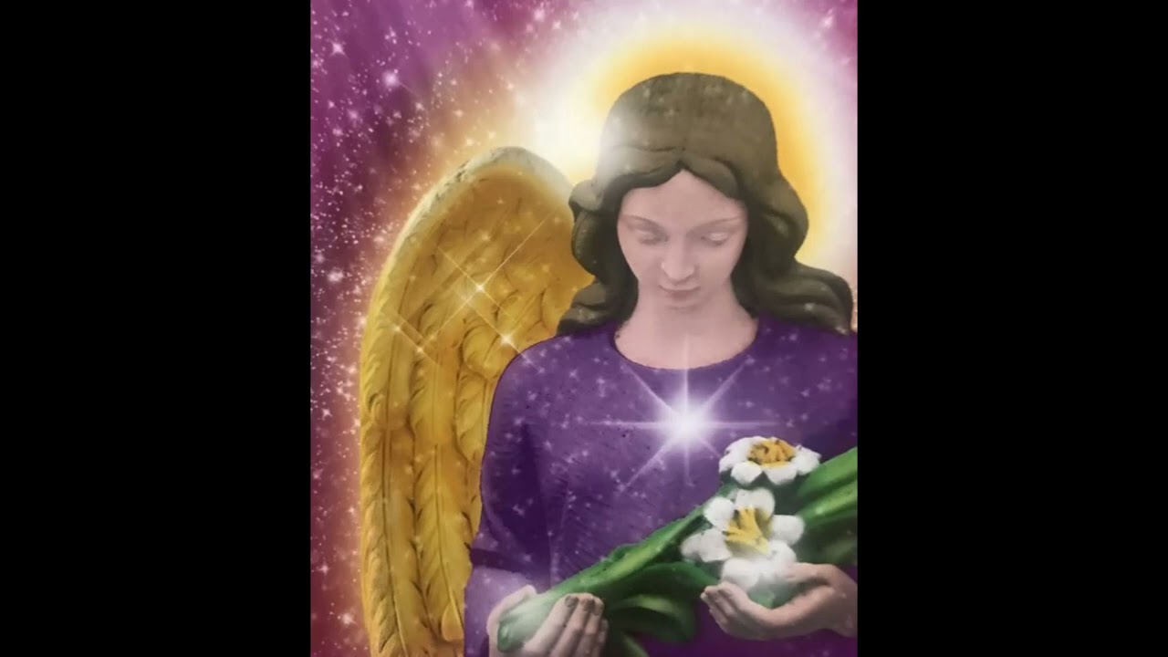 Shalom Alechim Zuro Amaya