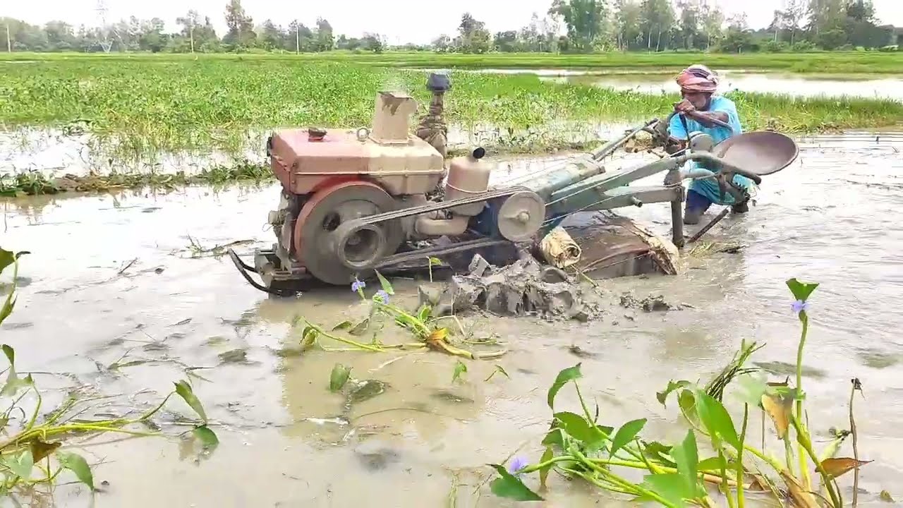 আধুনিক মেশিন,🌾বন্যায় ডোবা জমিতে পাওয়ার টিলার দিয়ে জমি চাষ  – কৃষকের বাস্তব জীবনের কঠোর পরিশ্রম 💦