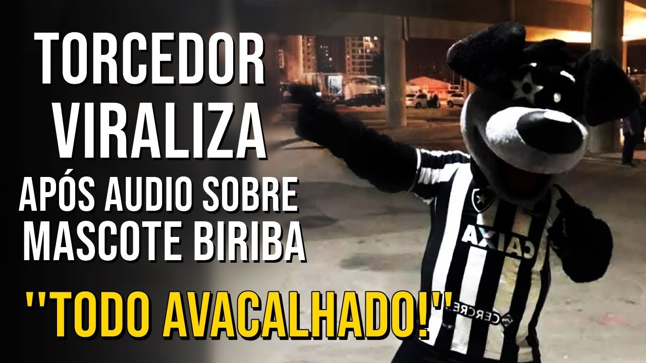 ÁUDIO DE TORCEDOR DO BOTAFOGO MALUCO COM O MASCOTE BIRIBA