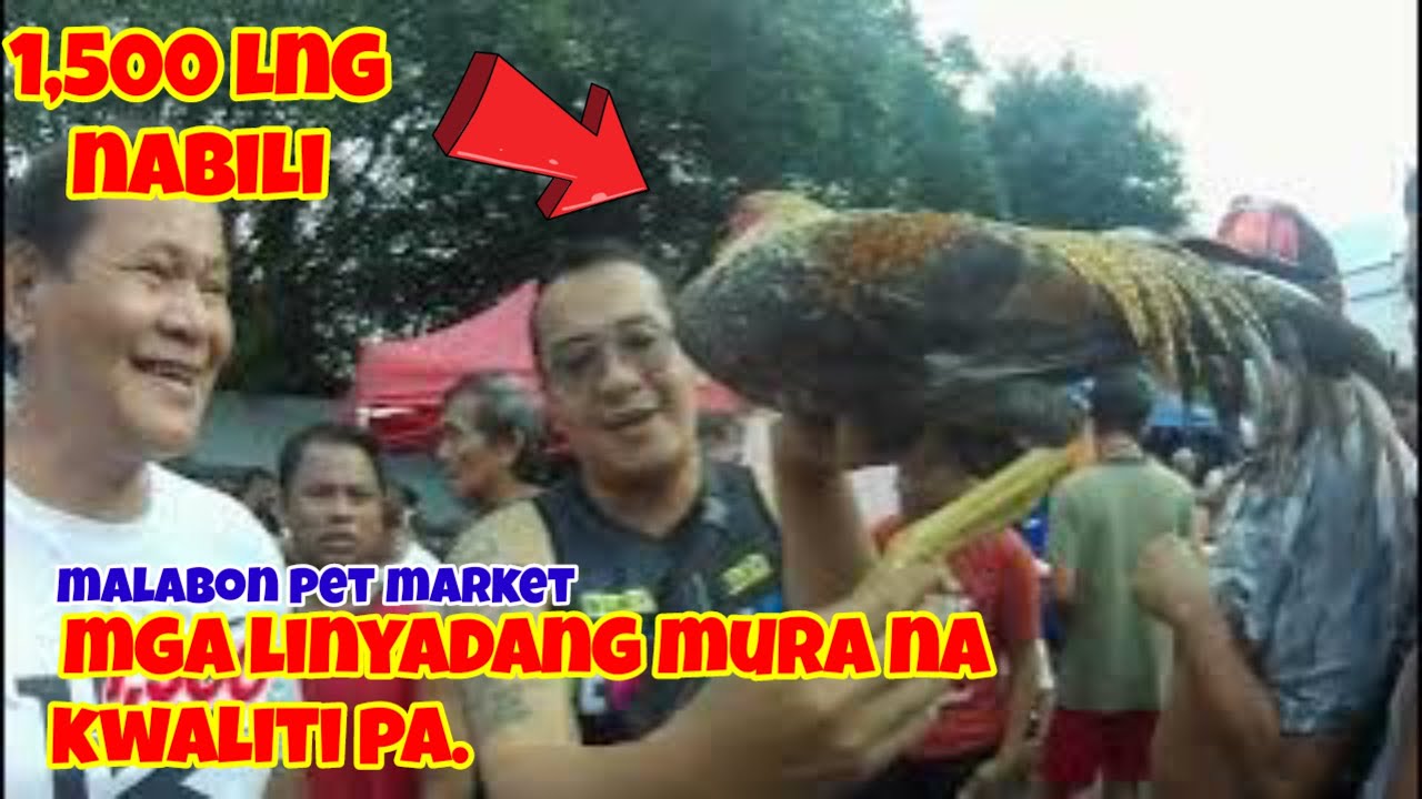 AUGUST 09,2025, Saturday Malabon pet market MGA Manok na murang presyohan SA malabon marami dito.