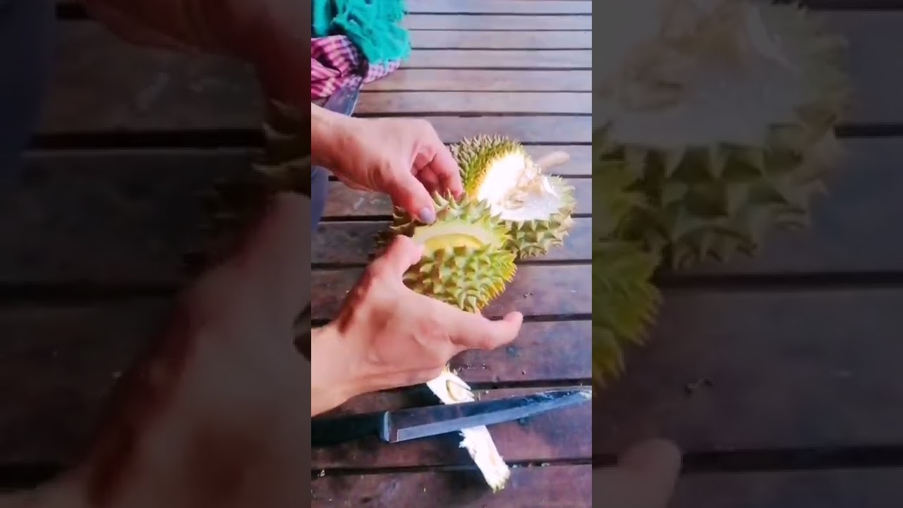 durian monthong fruit with tasty delicious flesh #shorts