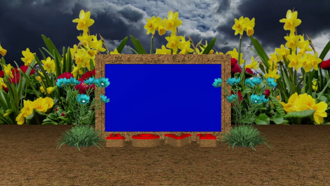 Motion Background Wedding Frame Blue Screen Video