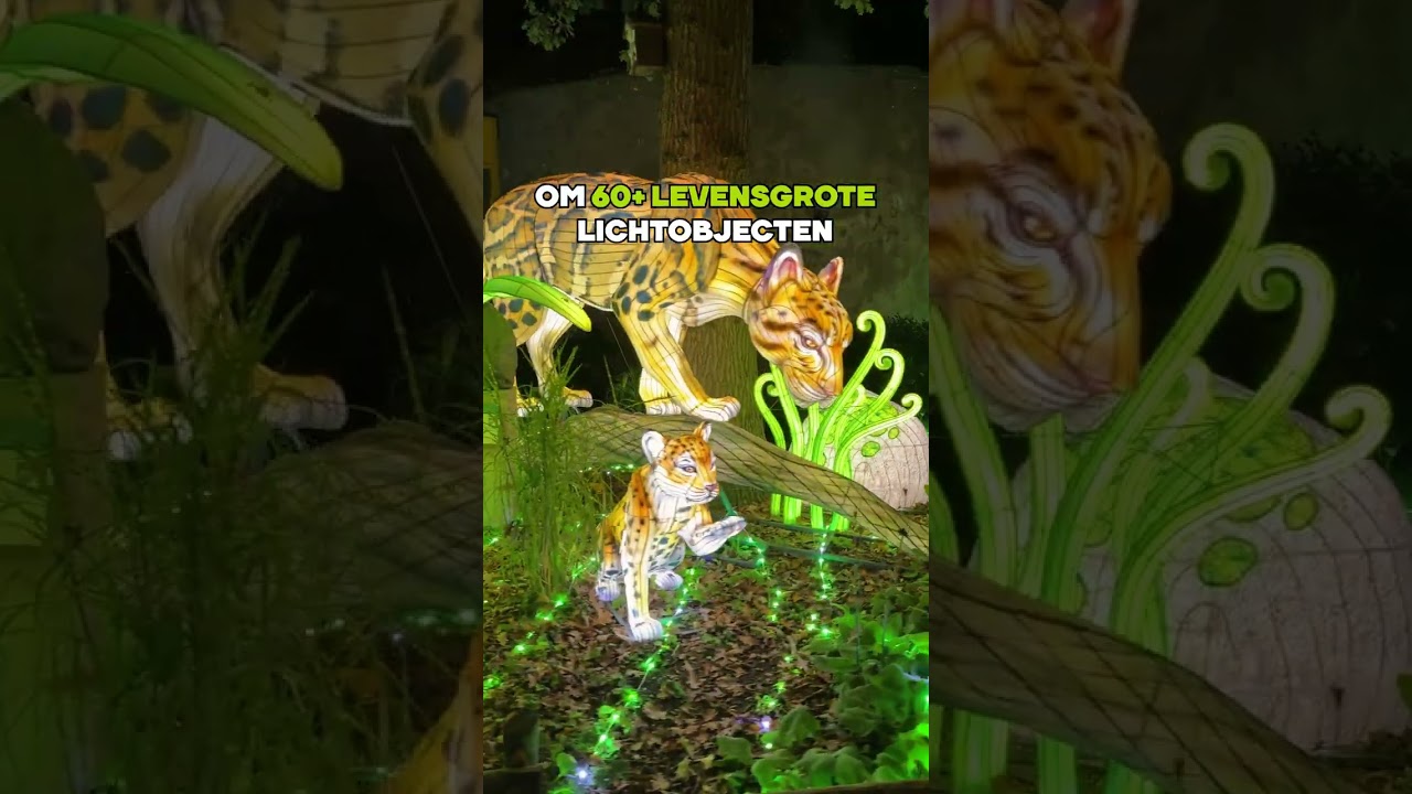 ✨ LAATSTE KANS LICHTFESTIVAL LIGHT NIGHTS | Light Nights in Ouwehands Dierenpark