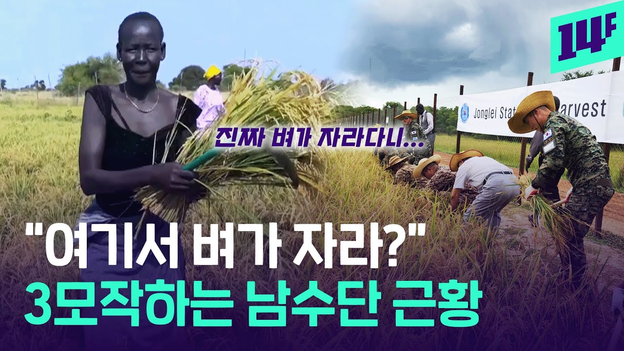 한빛부대의 역발상이 빛나는 3모작 남수단 근황 / 14F